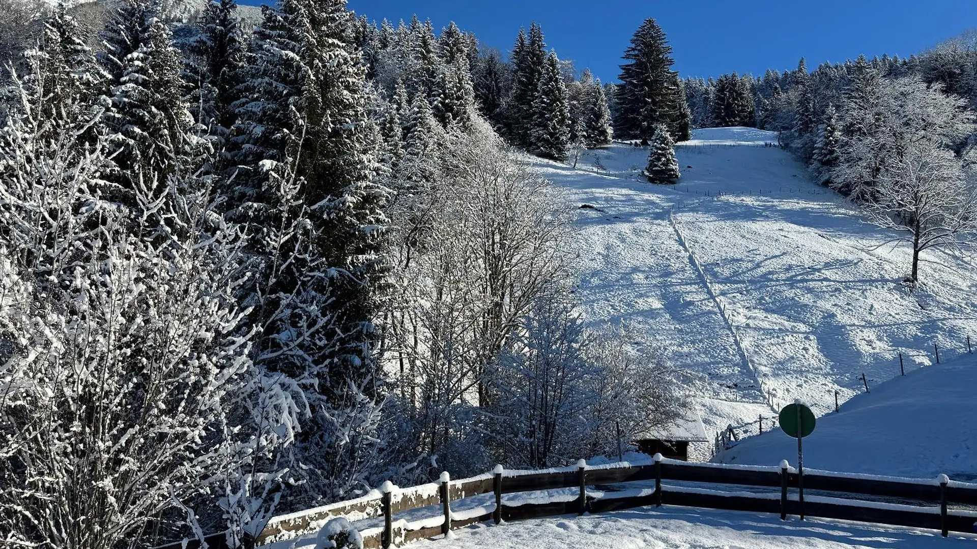 Apartment Ferienwohnung Uhl Oberstdorf